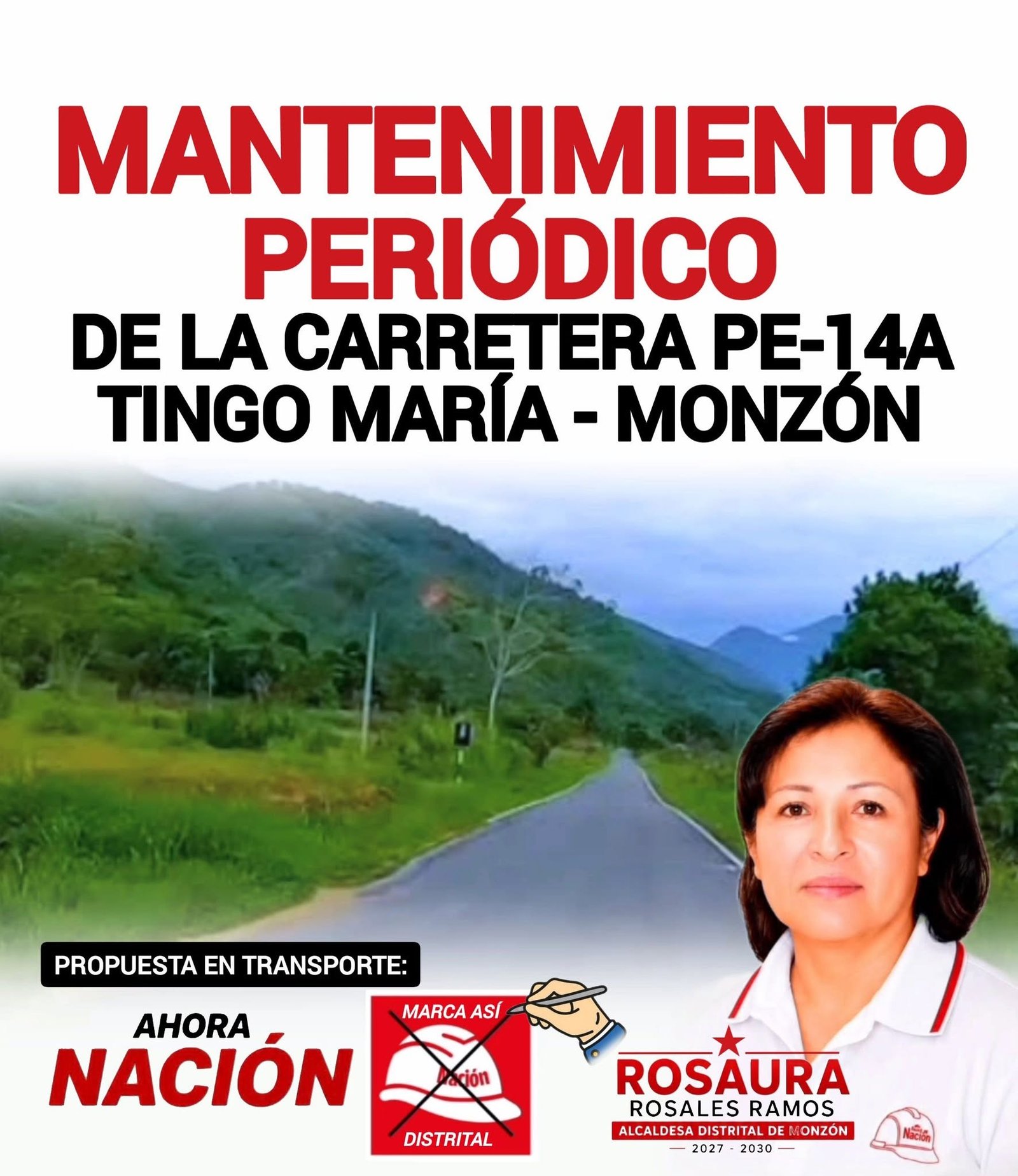 Gráfico sobre la carretera Tingo María–Monzón